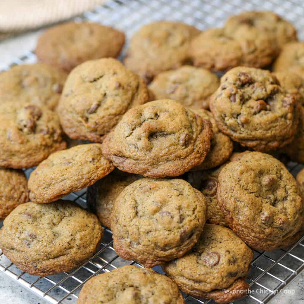 A pile of chocolate chip cookies on a baking rack.