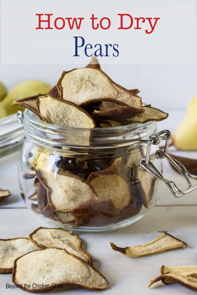 Layers of dried pears in a glass crock.