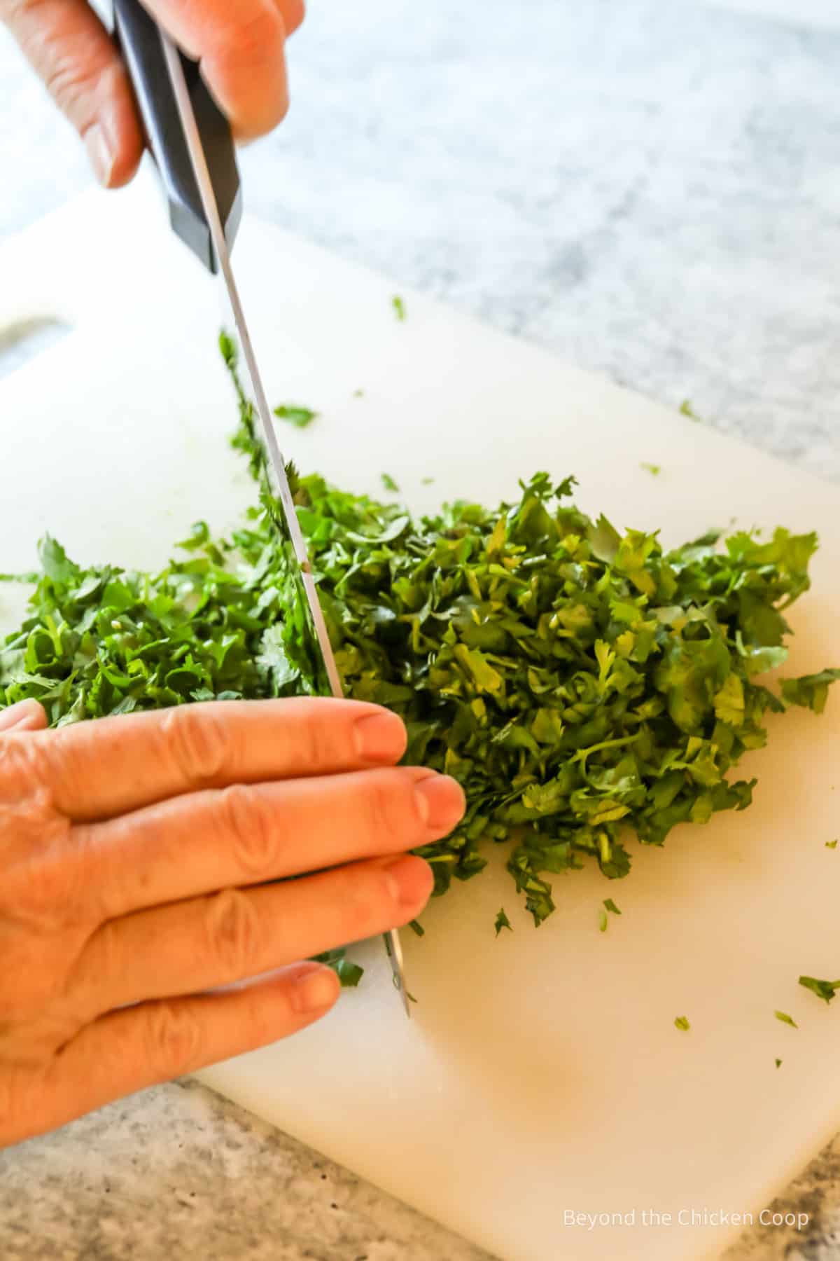 Cutting parsley with a chef knife.