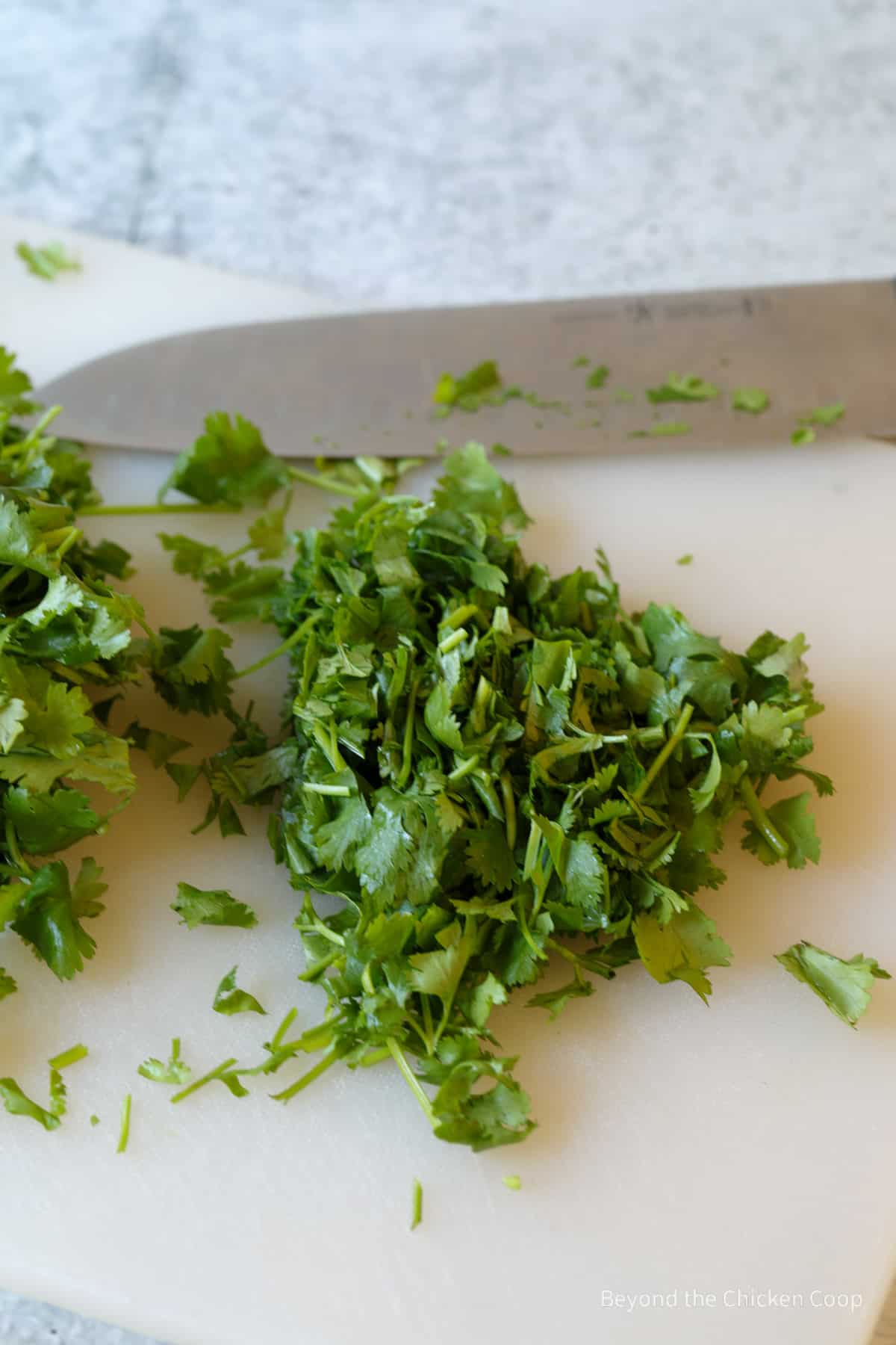 Fresh parsley on a cutting board. 