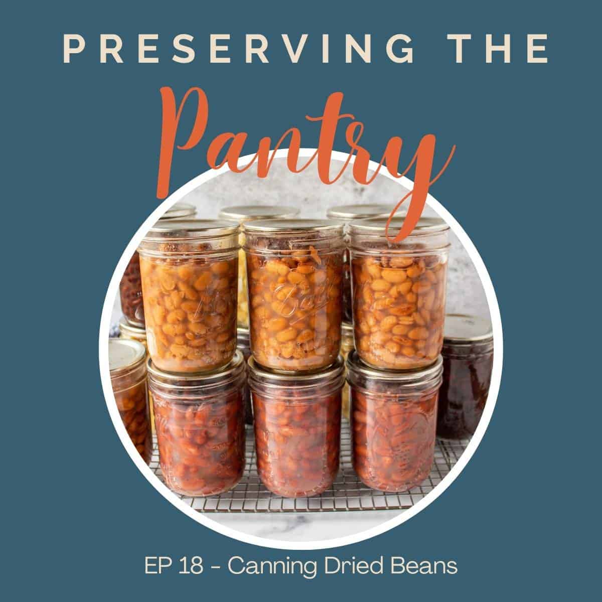 Canning jars filled with beans.