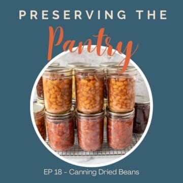 Canning jars filled with beans.