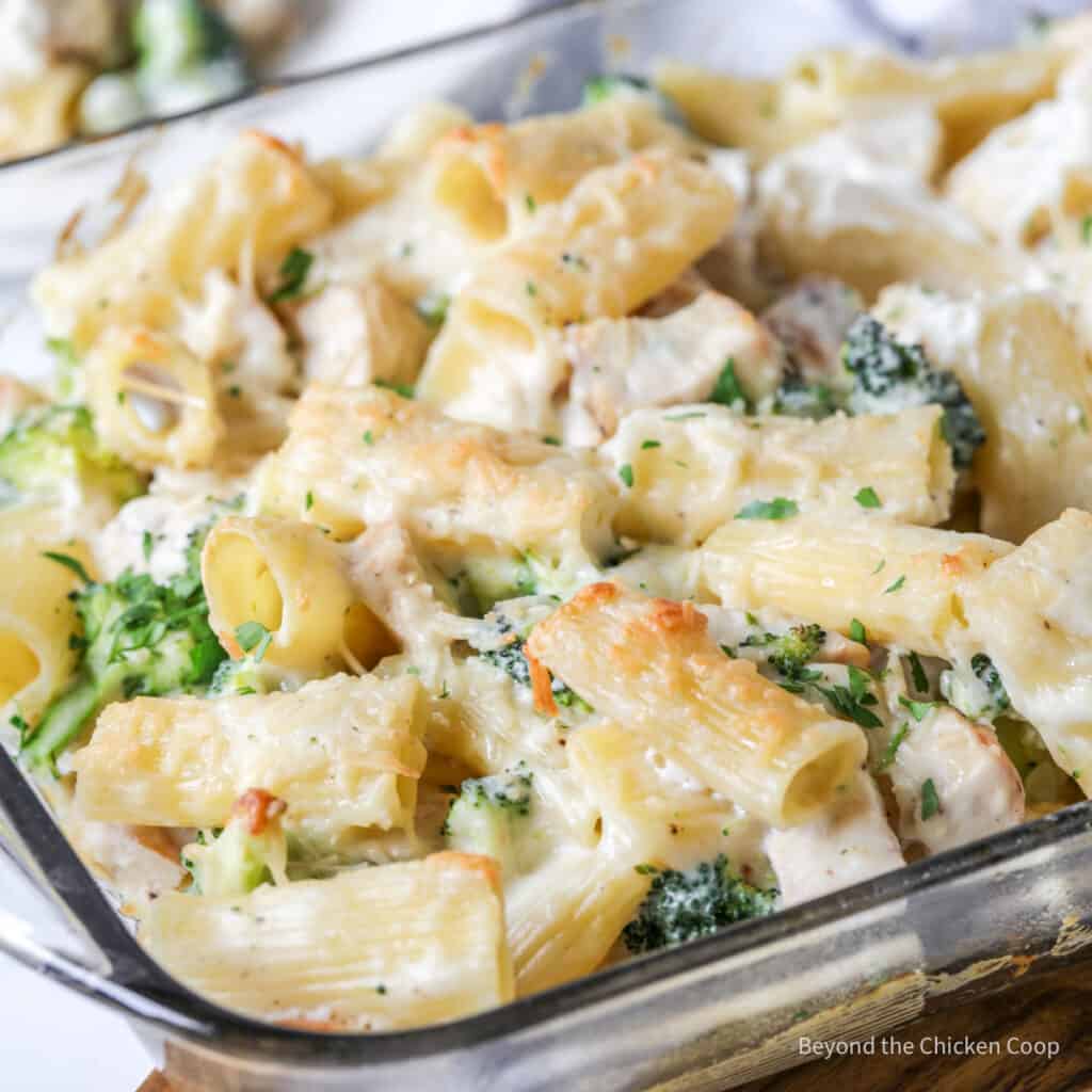 Broccoli Chicken Alfredo Bake in a glass casserole dish. 