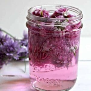 A glass jar filled with a purple vinegar and chive blossoms.