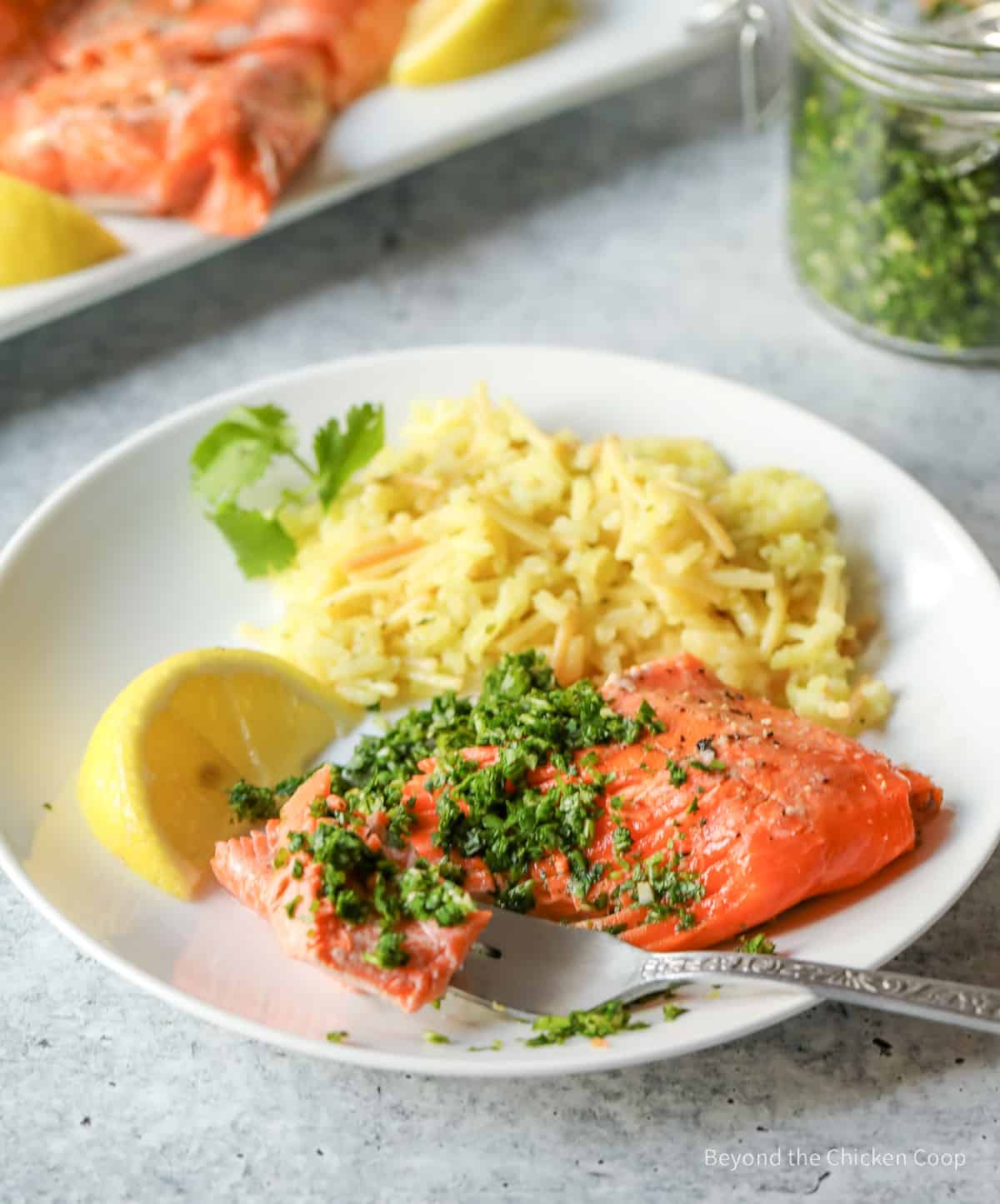 A plate with rice and salmon.