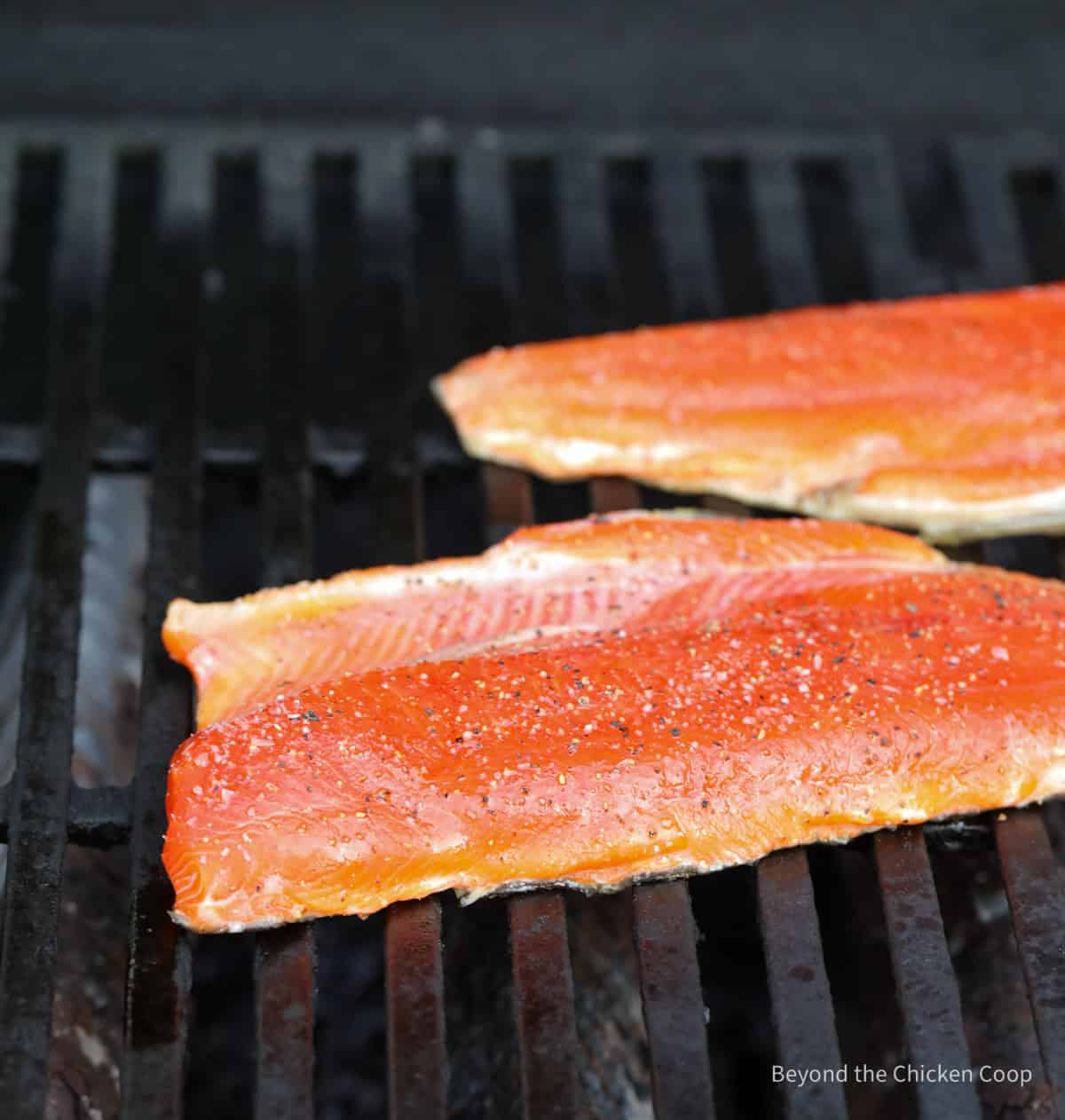 Fish on a grill ready to be turned.