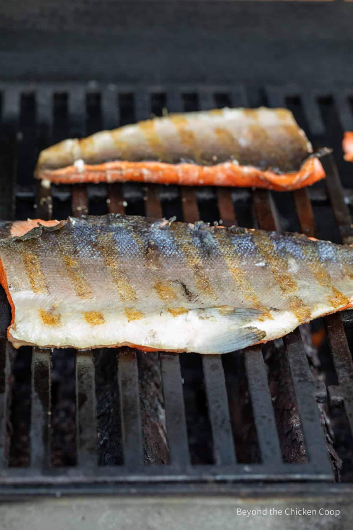 Fish on a BBQ grill with skin side up.