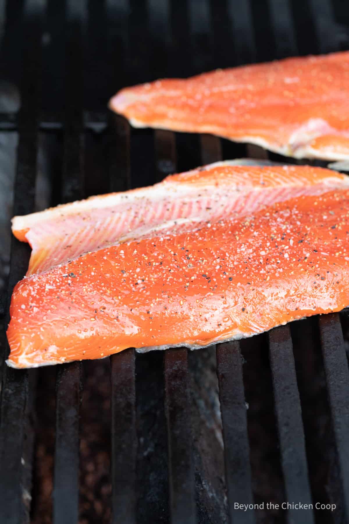 Salmon on a hot grill. 