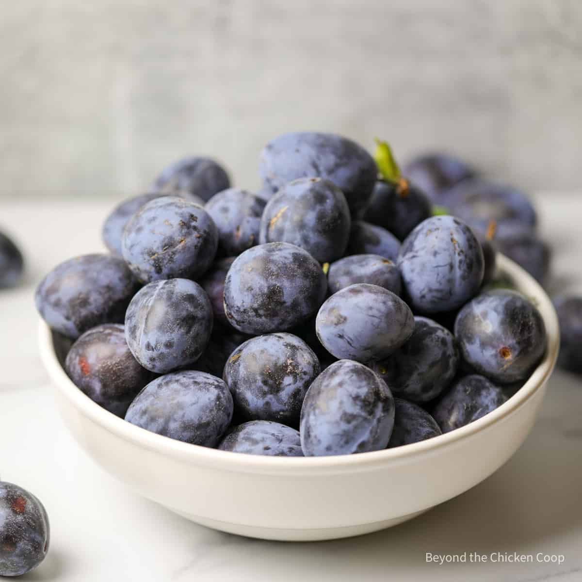 A bowl filled with Italian prune plums. 