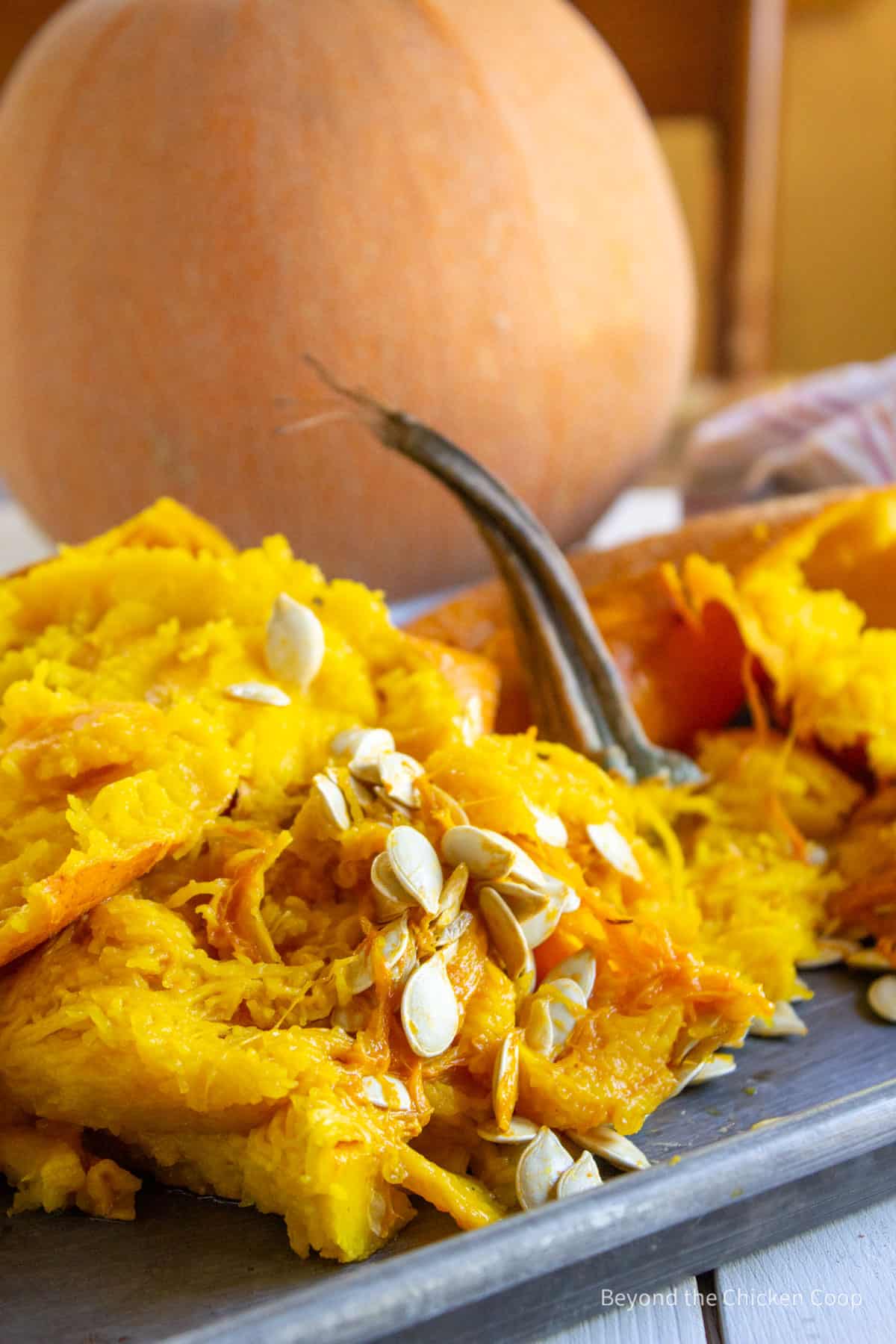 Pumpkin seeds on a baking sheet.