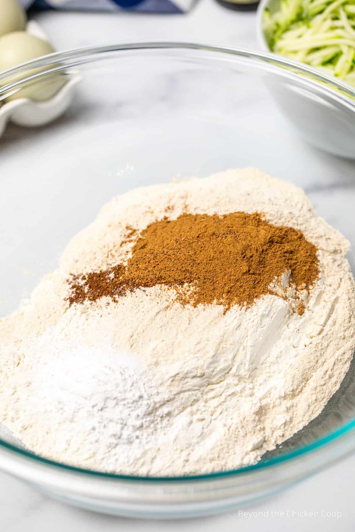 Flour and spices in a large bowl.