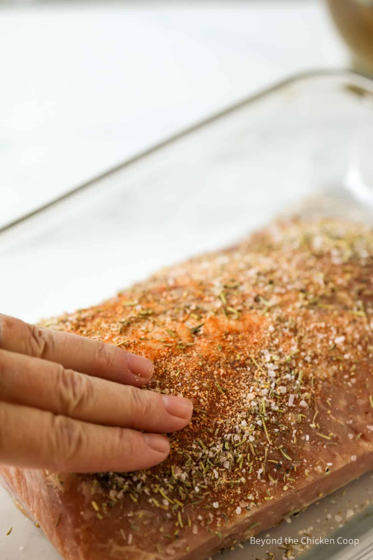 Rubbing seasoning into a pork roast.