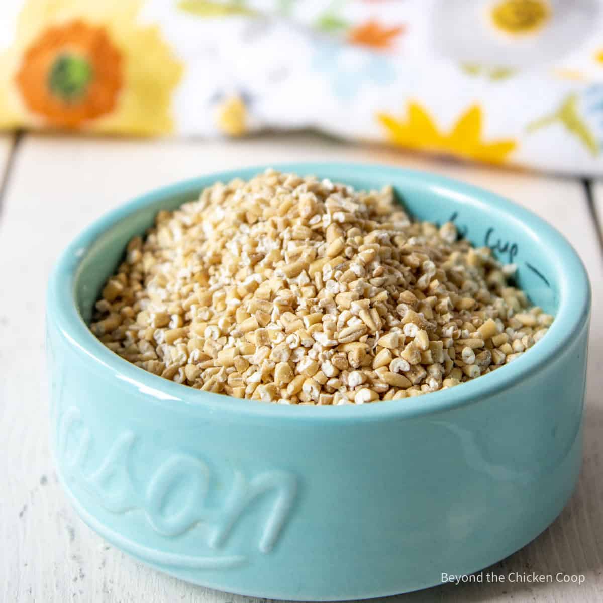 Uncooked steel cut oats in a small blue container. 