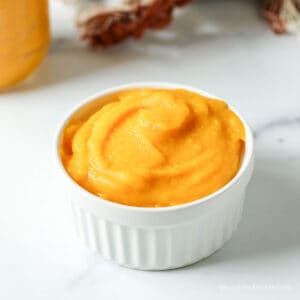 A small white bowl filled with pureed pumpkin.