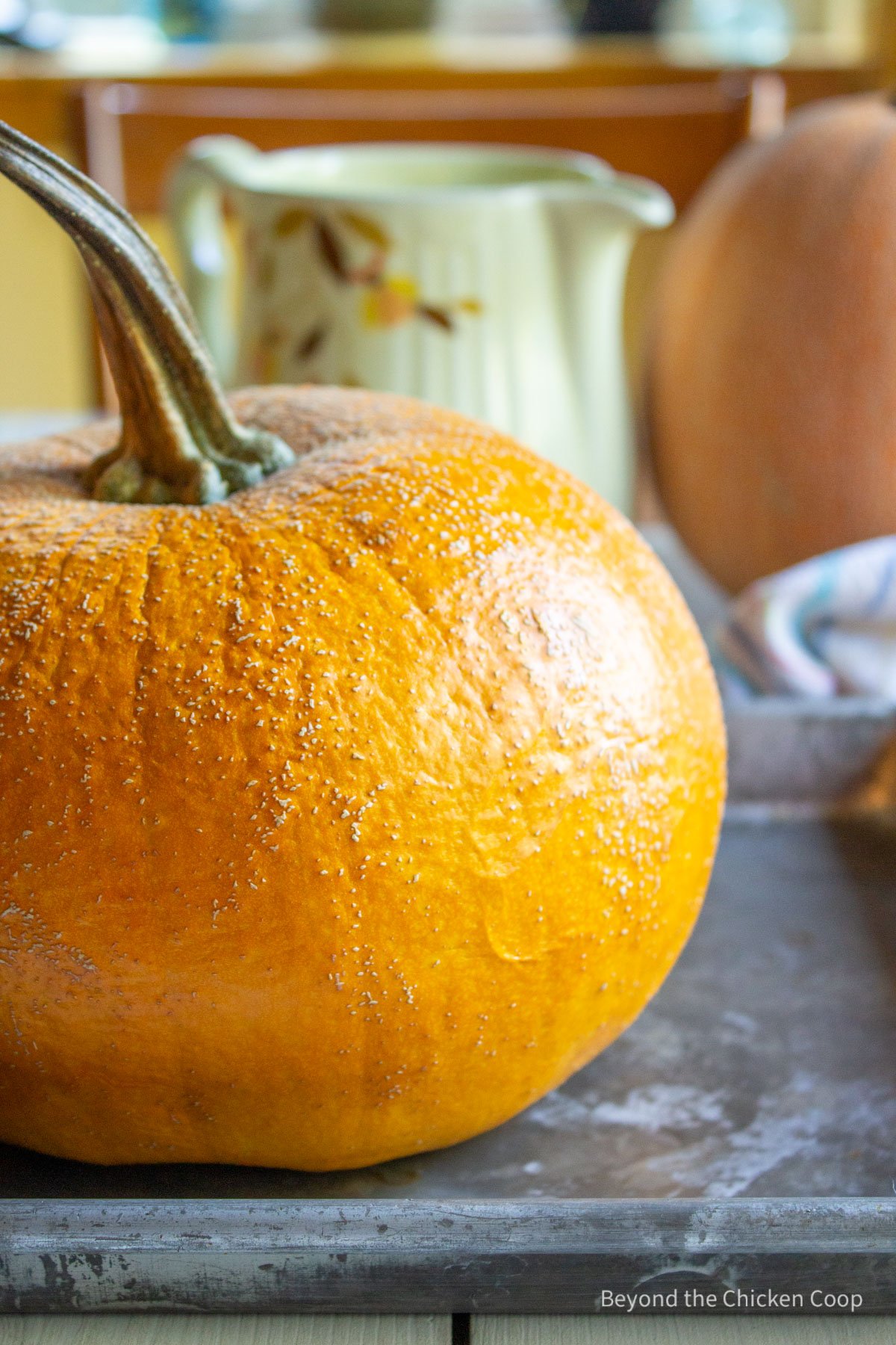 A cooked pumpkin on a baking sheet.