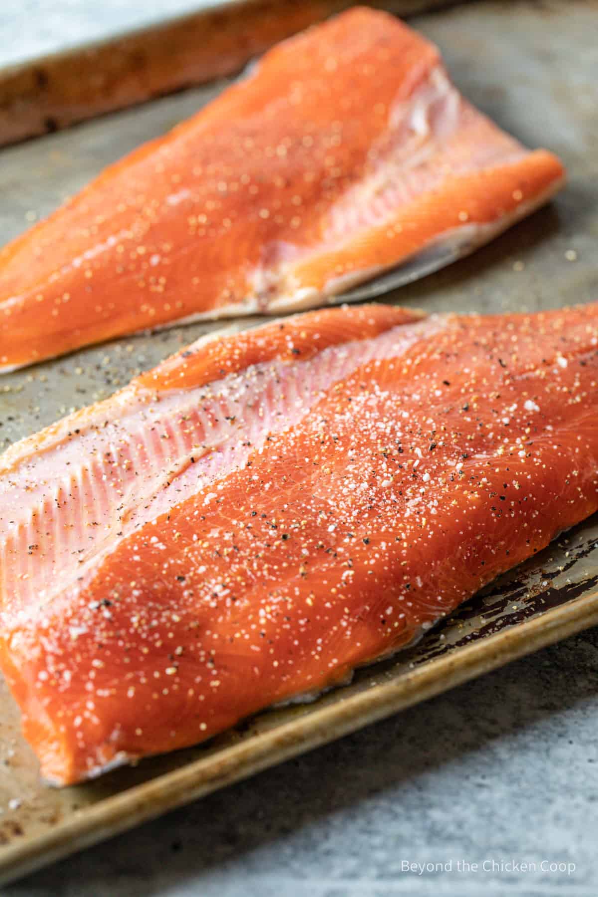 Salt and pepper on fish fillets.