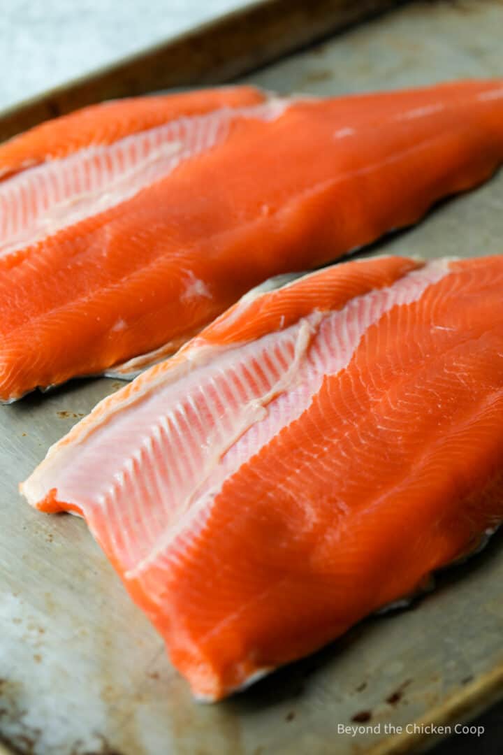 Grilled Sockeye Salmon - Beyond The Chicken Coop