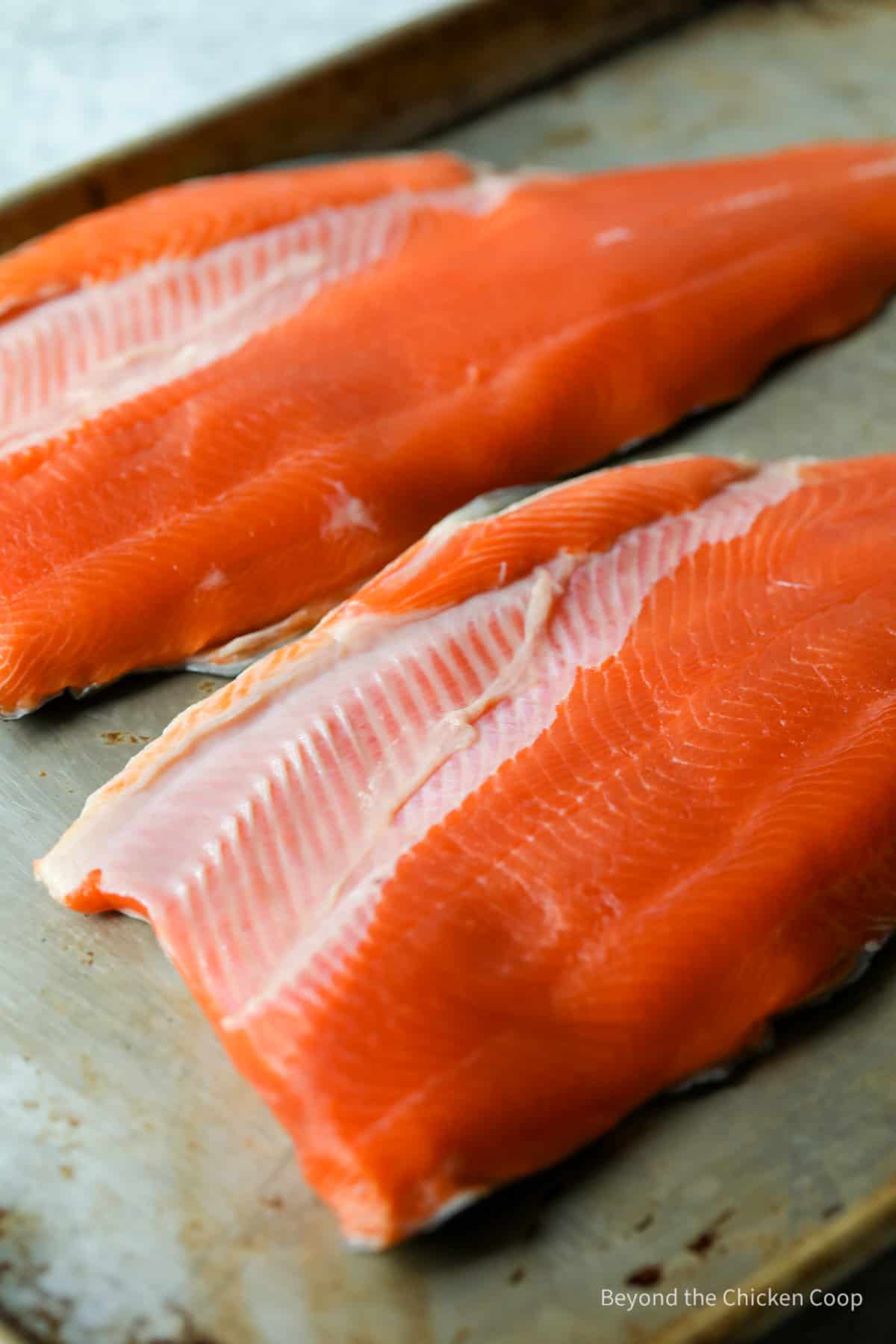 Sockeye fillets on a baking sheet.