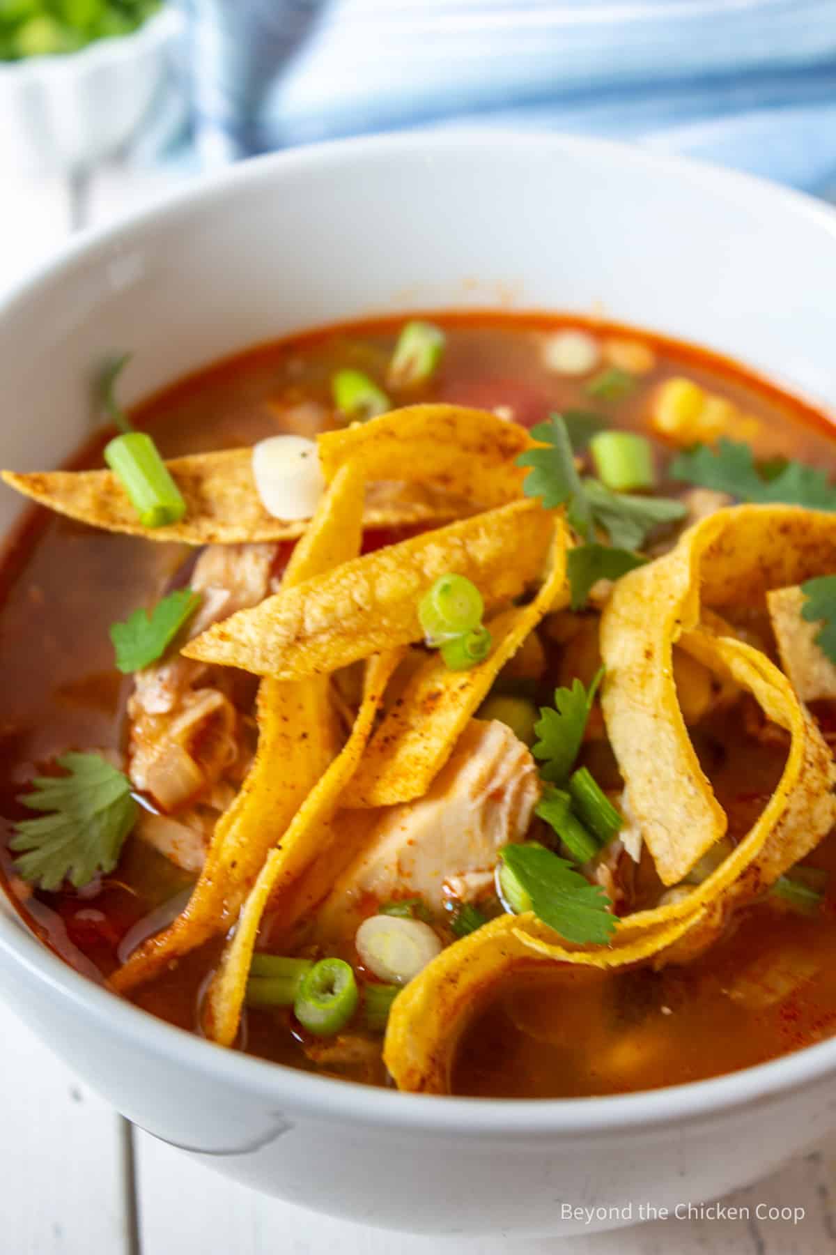 A bowl filled with a red soup topped with onions and tortilla strips. 