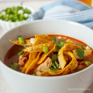 A bowl of soup topped with crispy tortilla strips.