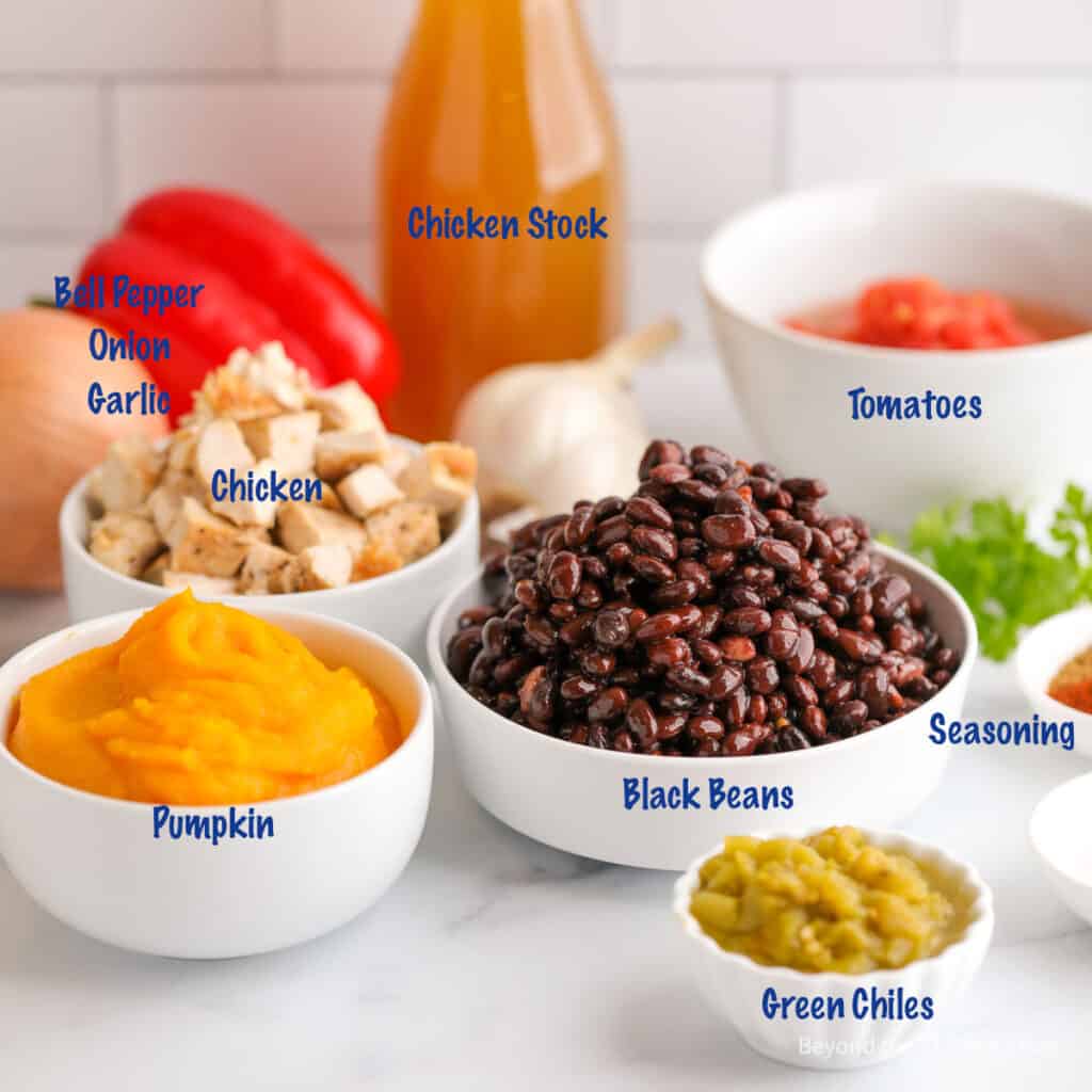 Ingredients for making black bean chili.