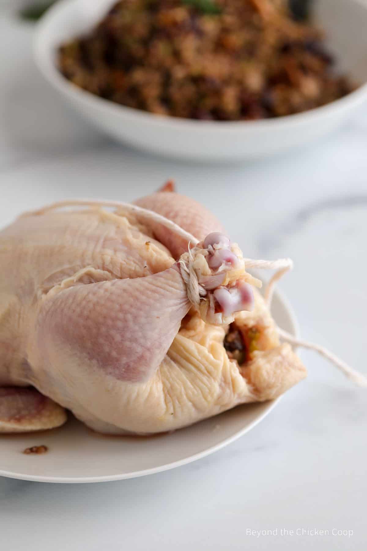 A cornish hen with the legs tied together. 