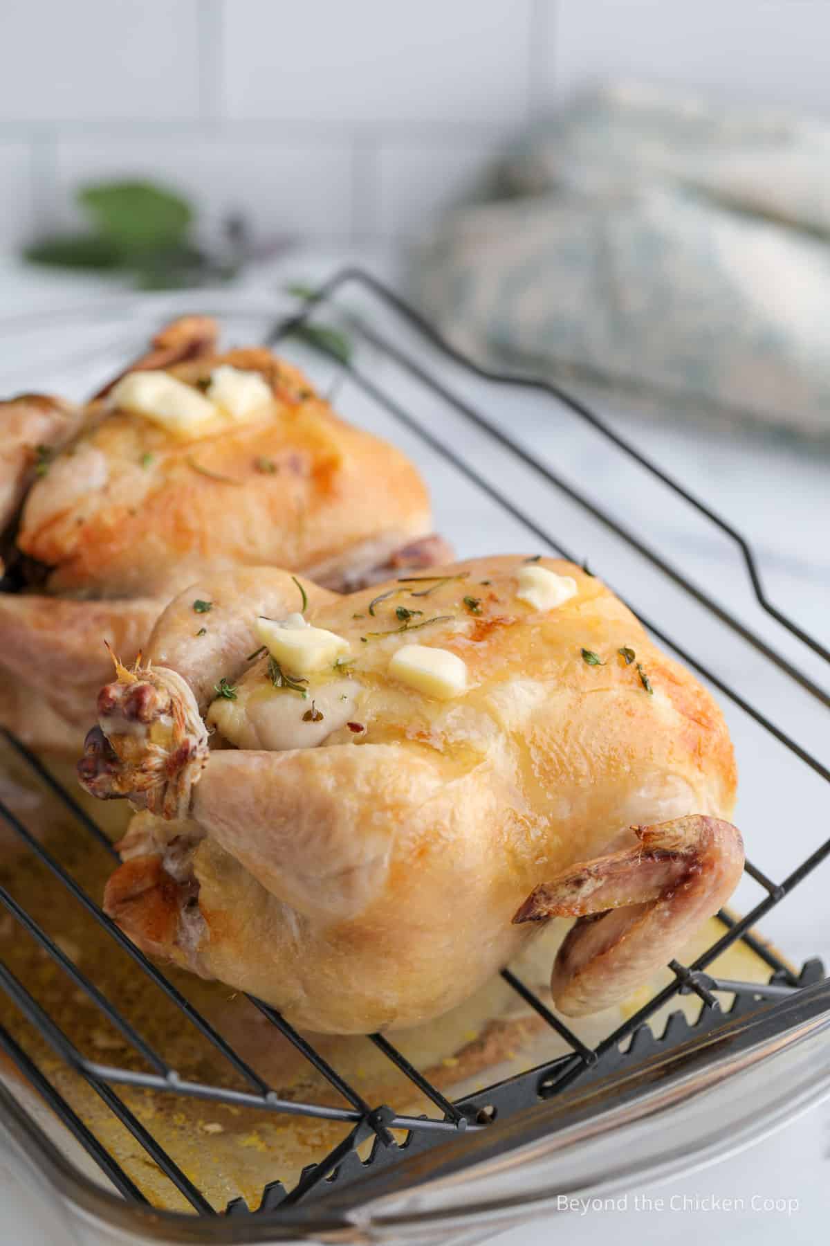 Partially baked cornish hens with butter. 