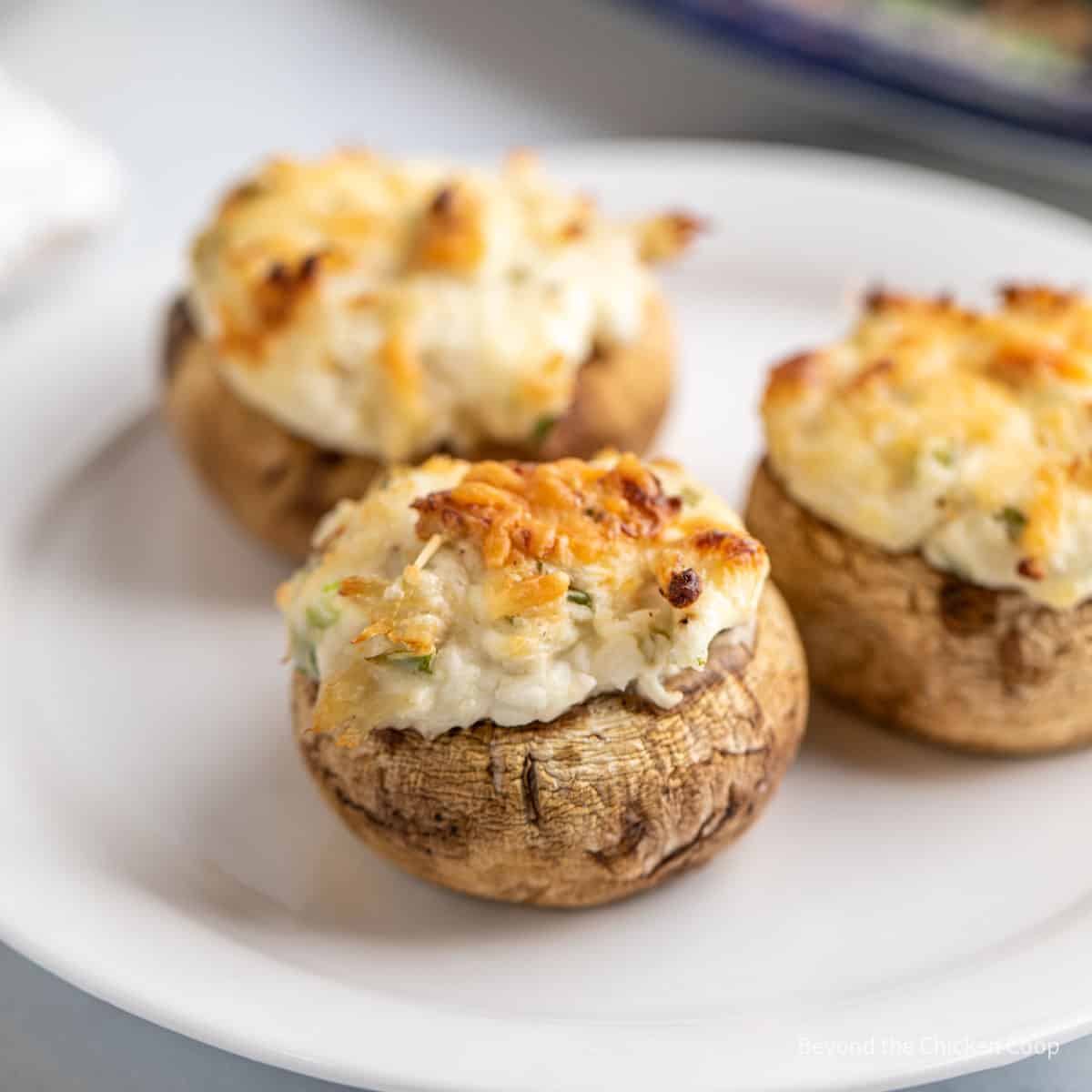 Three crab stuffed mushrooms on a small white plate.