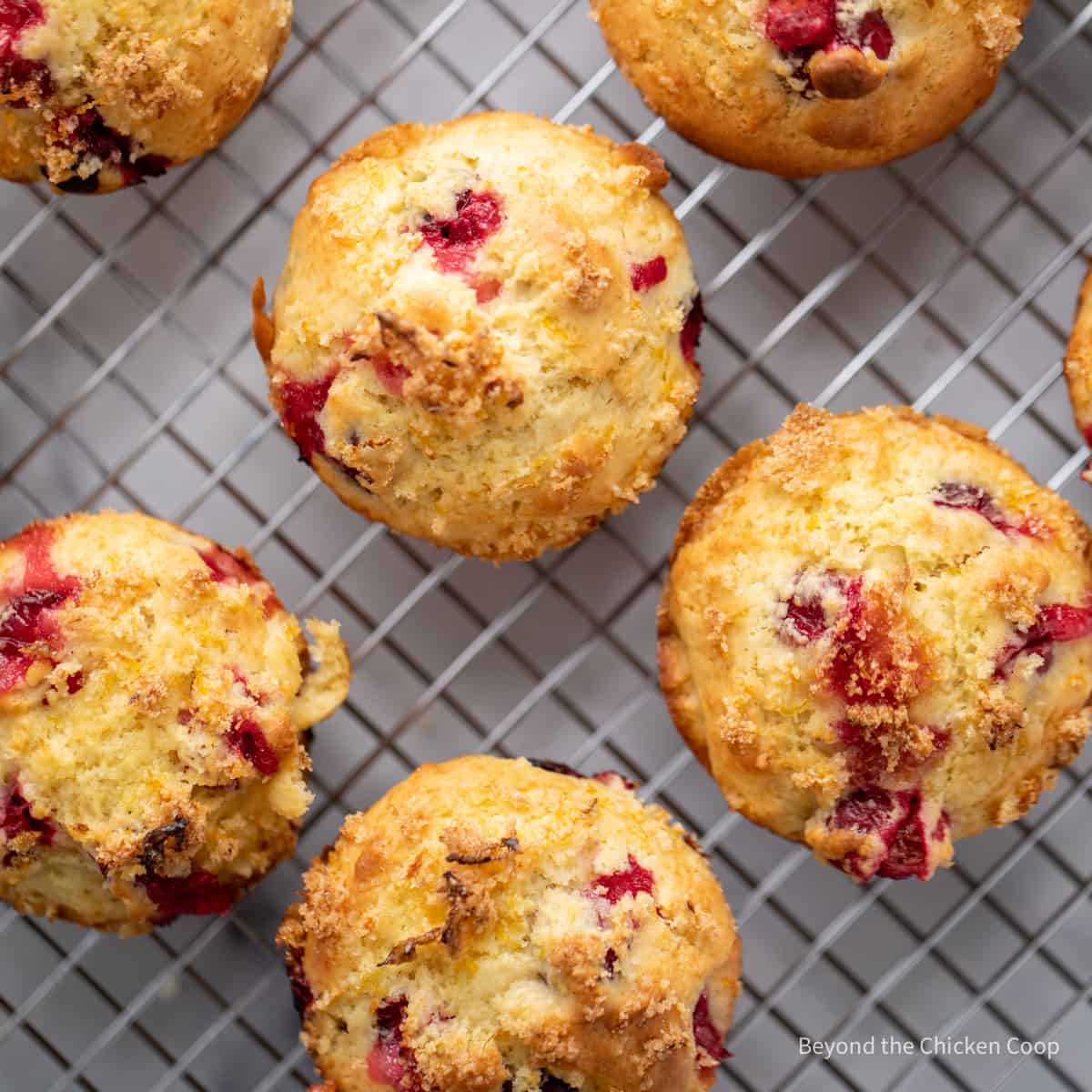 Baked muffins on a wire rack. 