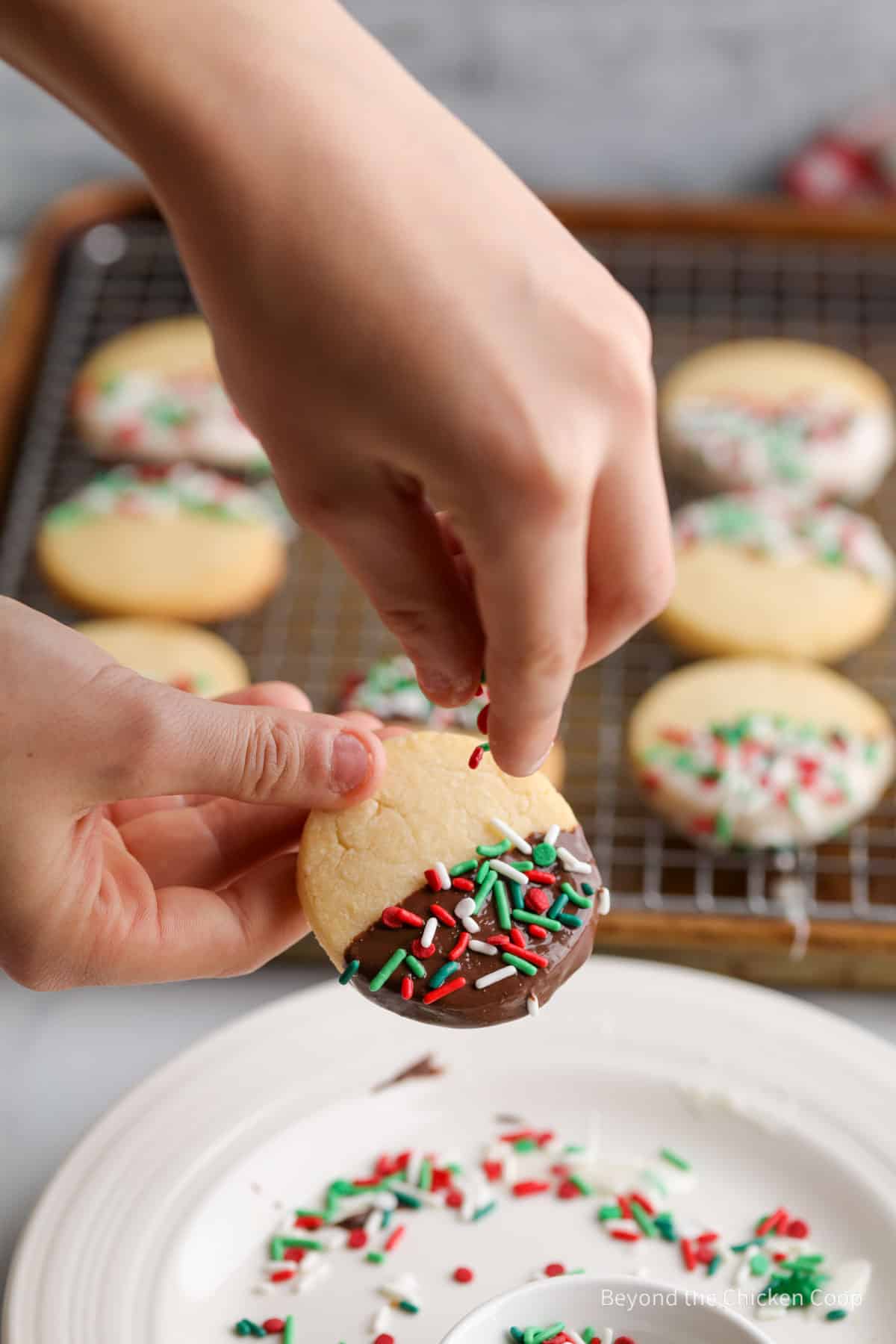 Adding sprinkles to a cookie.