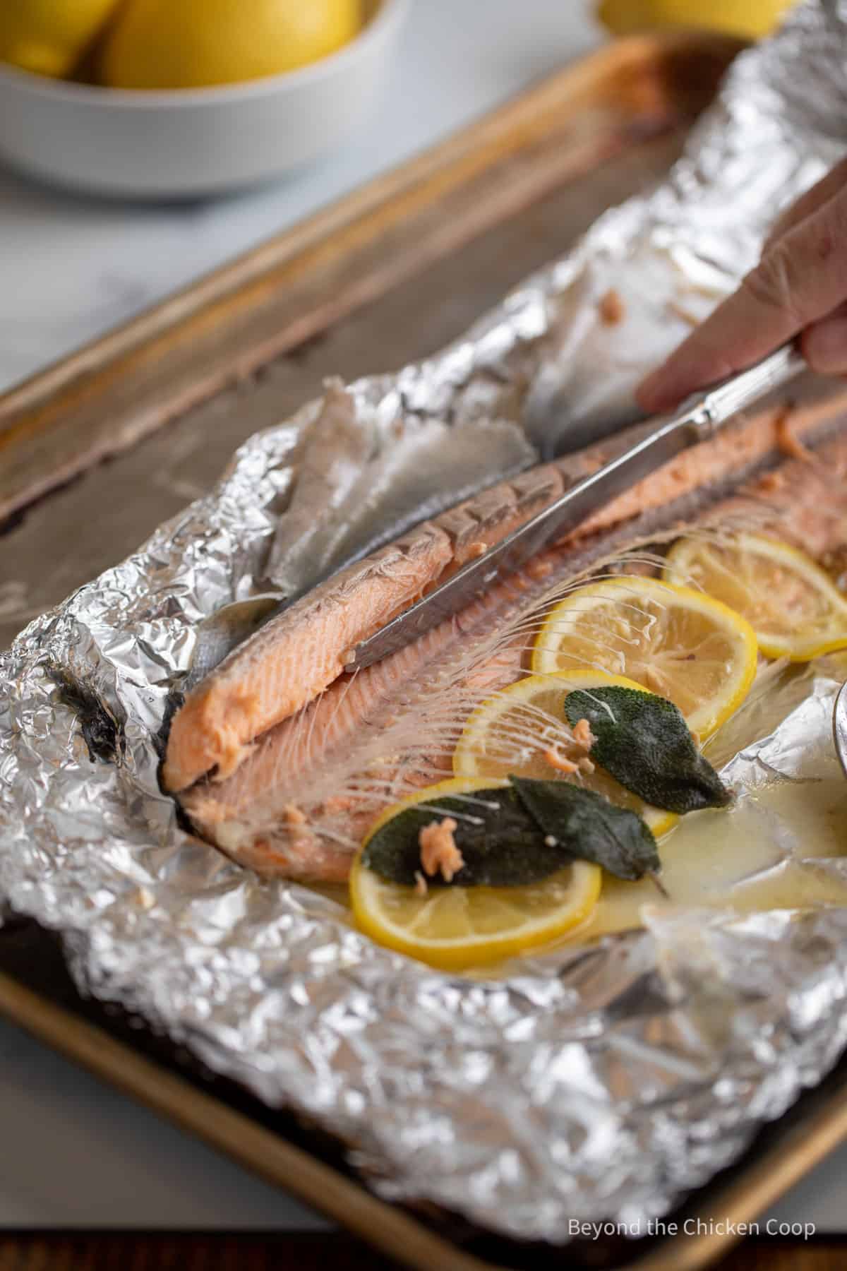 Removing the fillets with a butter knife.