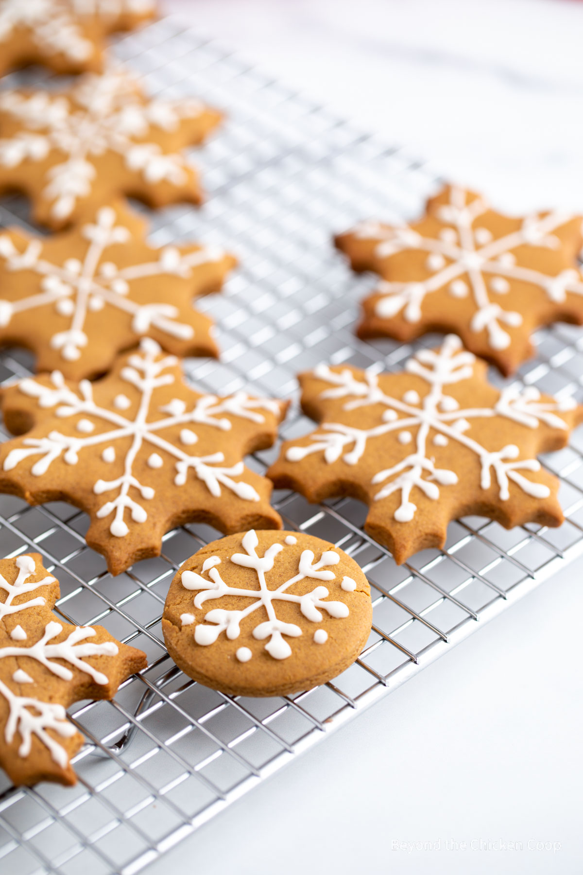 Snowflake cookies on a baking rack. 