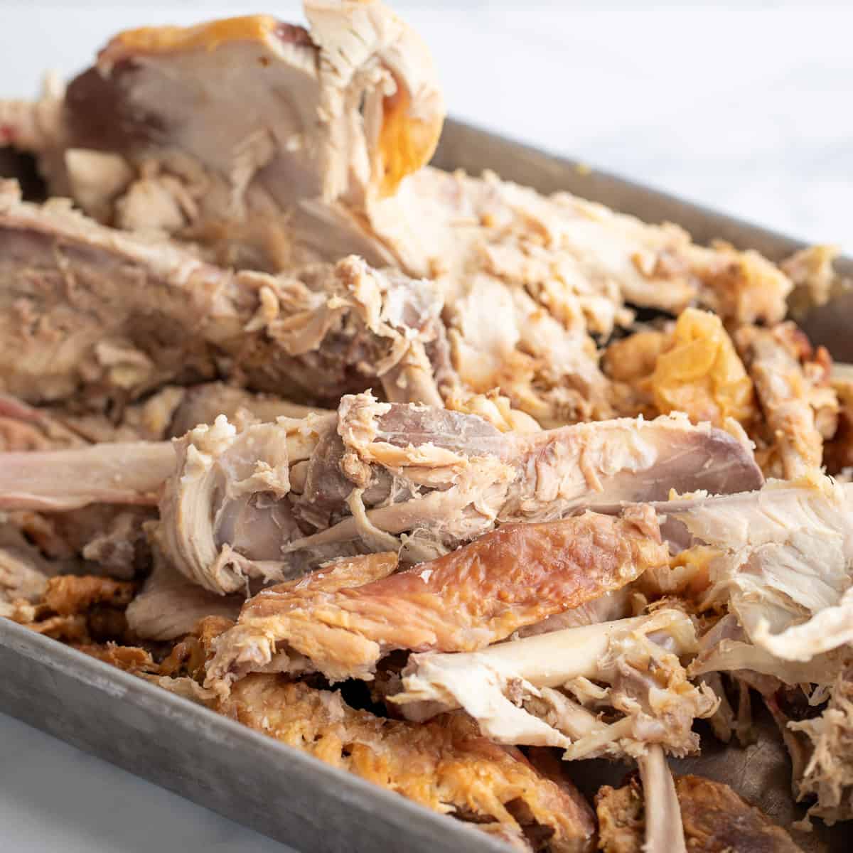 Turkey bones in a roasting pan.