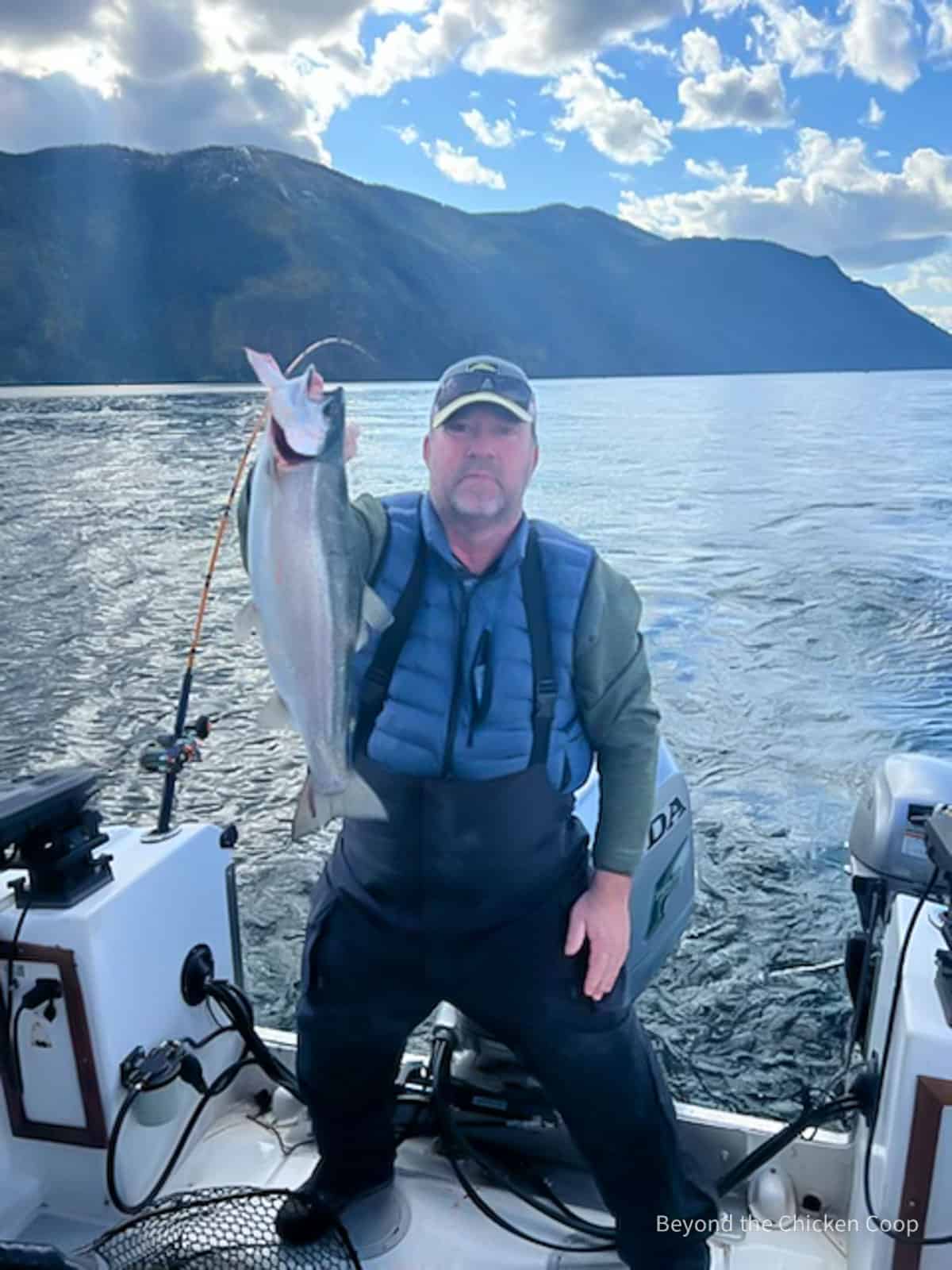 A freshly caught kamloop fish. 