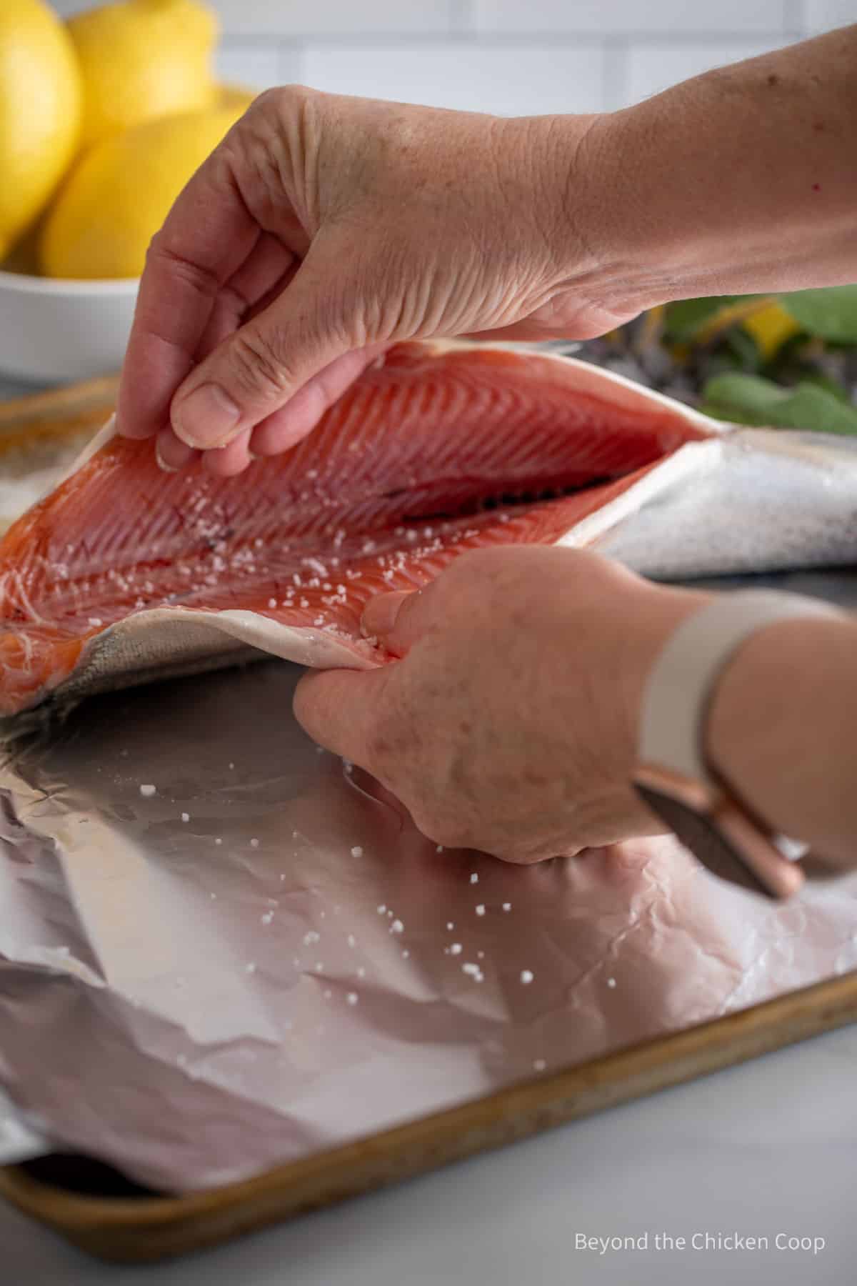 Salting the cavity of a trout. 