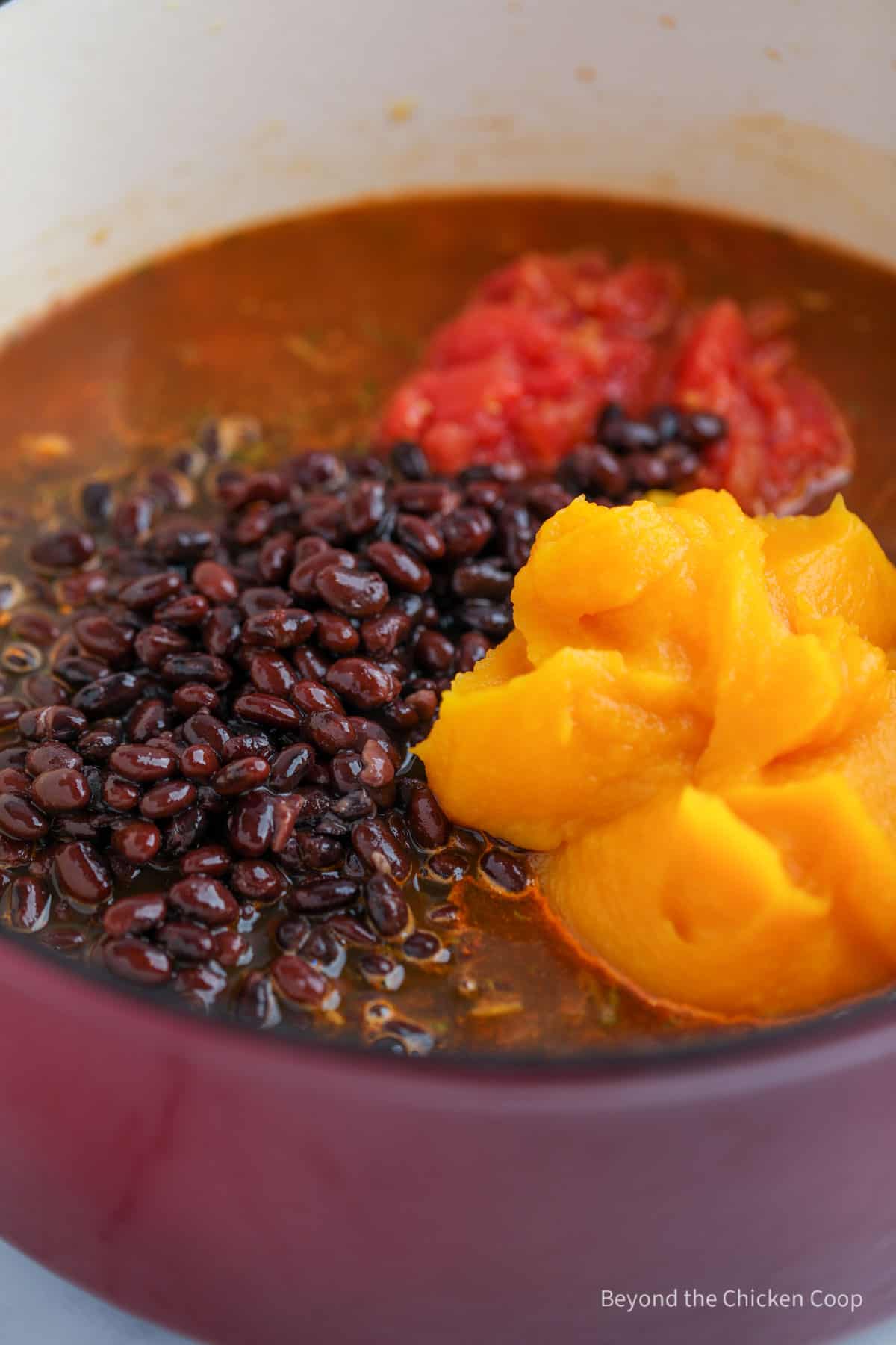 Black beans, tomatoes and pumpkin in a stock pot. 