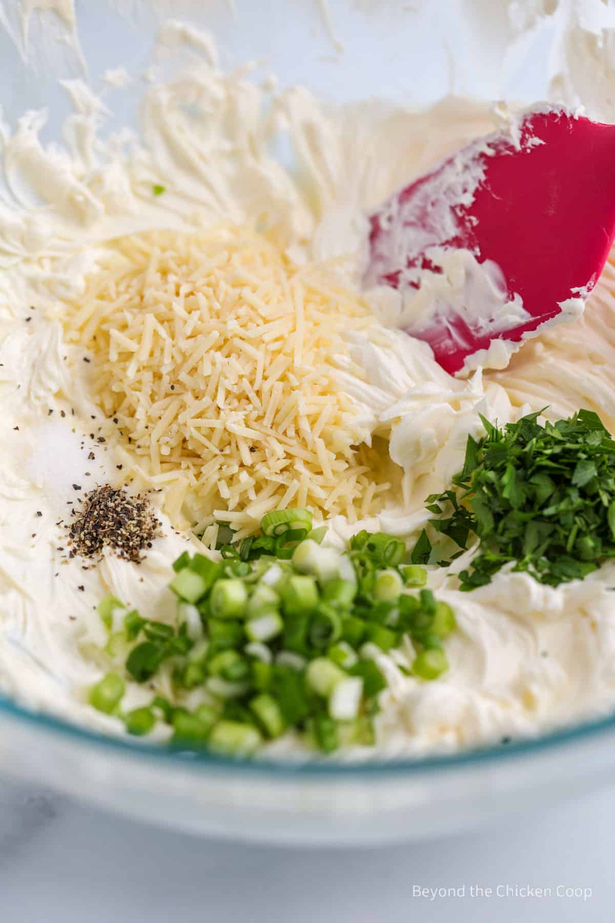 Cream cheese with green onions, parsley and parmesan cheese. 