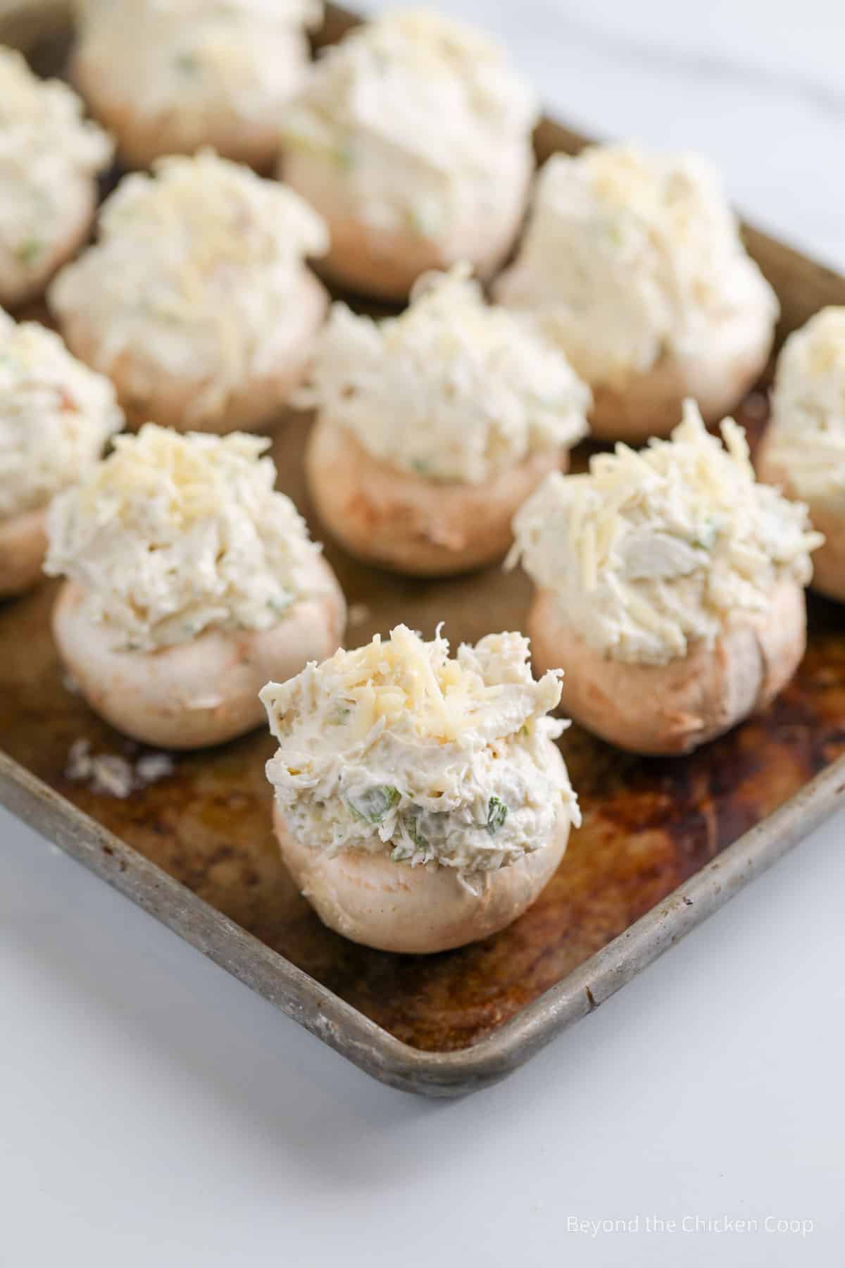 Stuffed mushrooms on a baking sheet. 