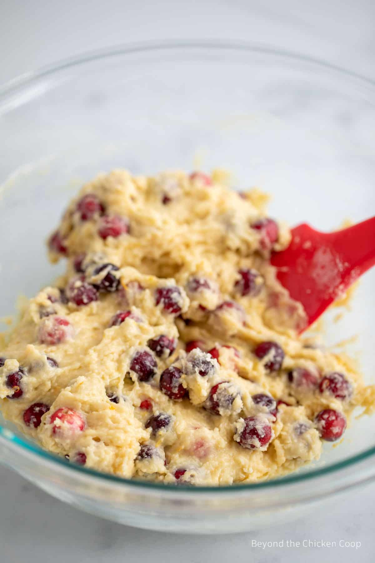 Mixing cranberries into batter. 