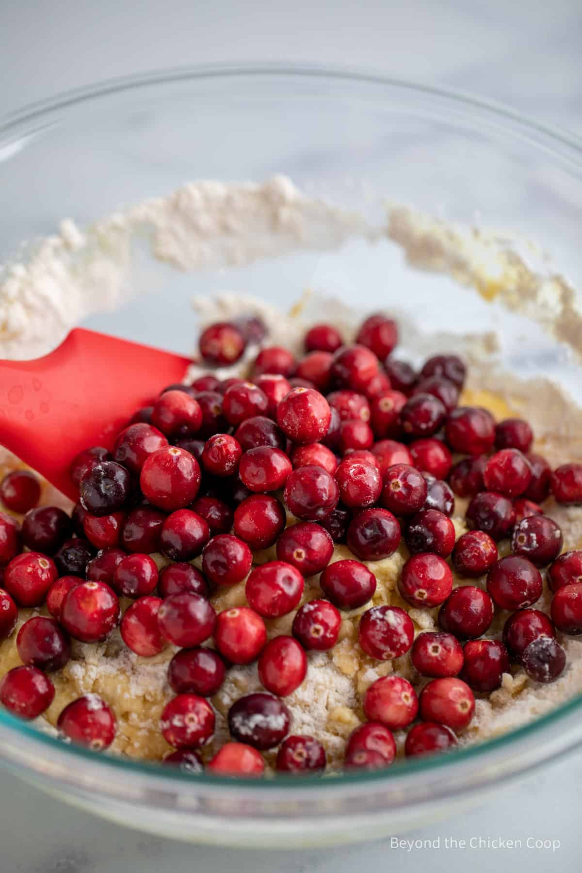 Cranberries added to muffin batter. 