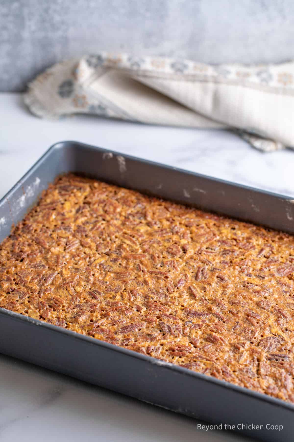 A baked dessert with pecans in a cake pan.