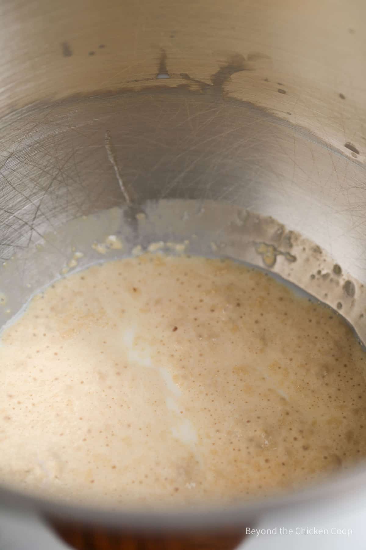 Proofed yeast in a mixing bowl. 