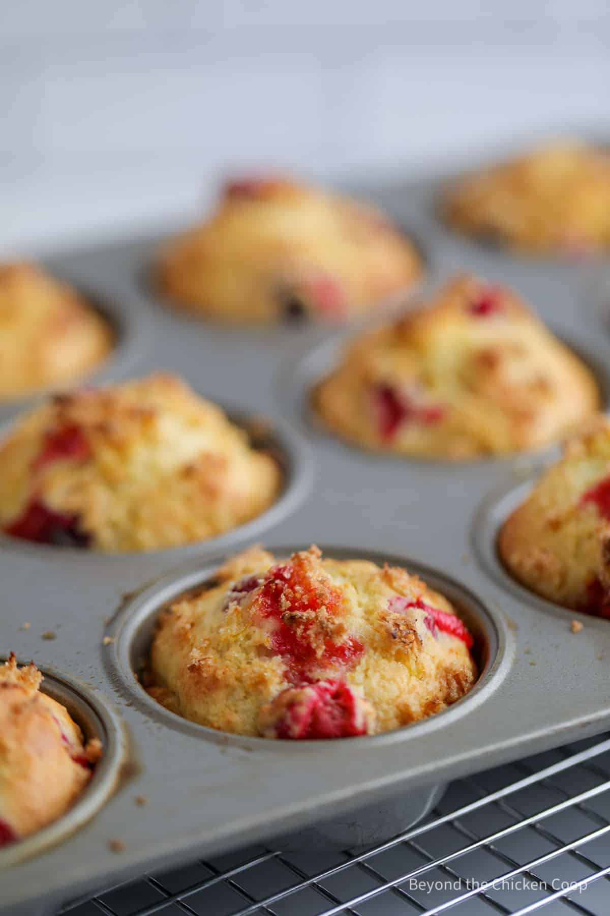 Baked cranberry muffins in the tin.