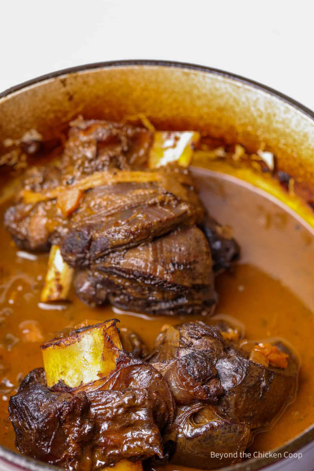 Cooked elk shanks in a dutch oven.