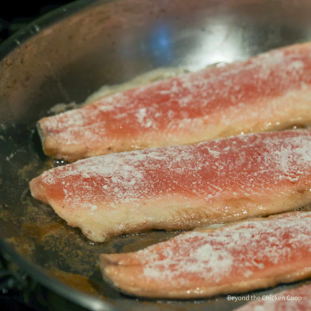 Pan frying trout filets. 