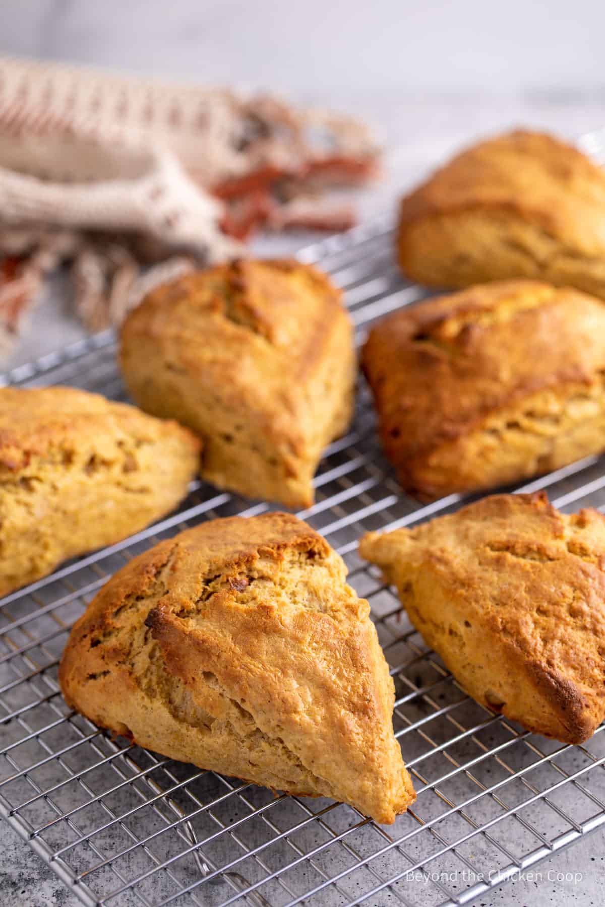 Baked scones on a baking rack.