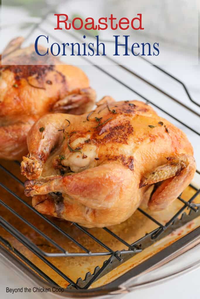 Two cornish hens on a roasting rack.