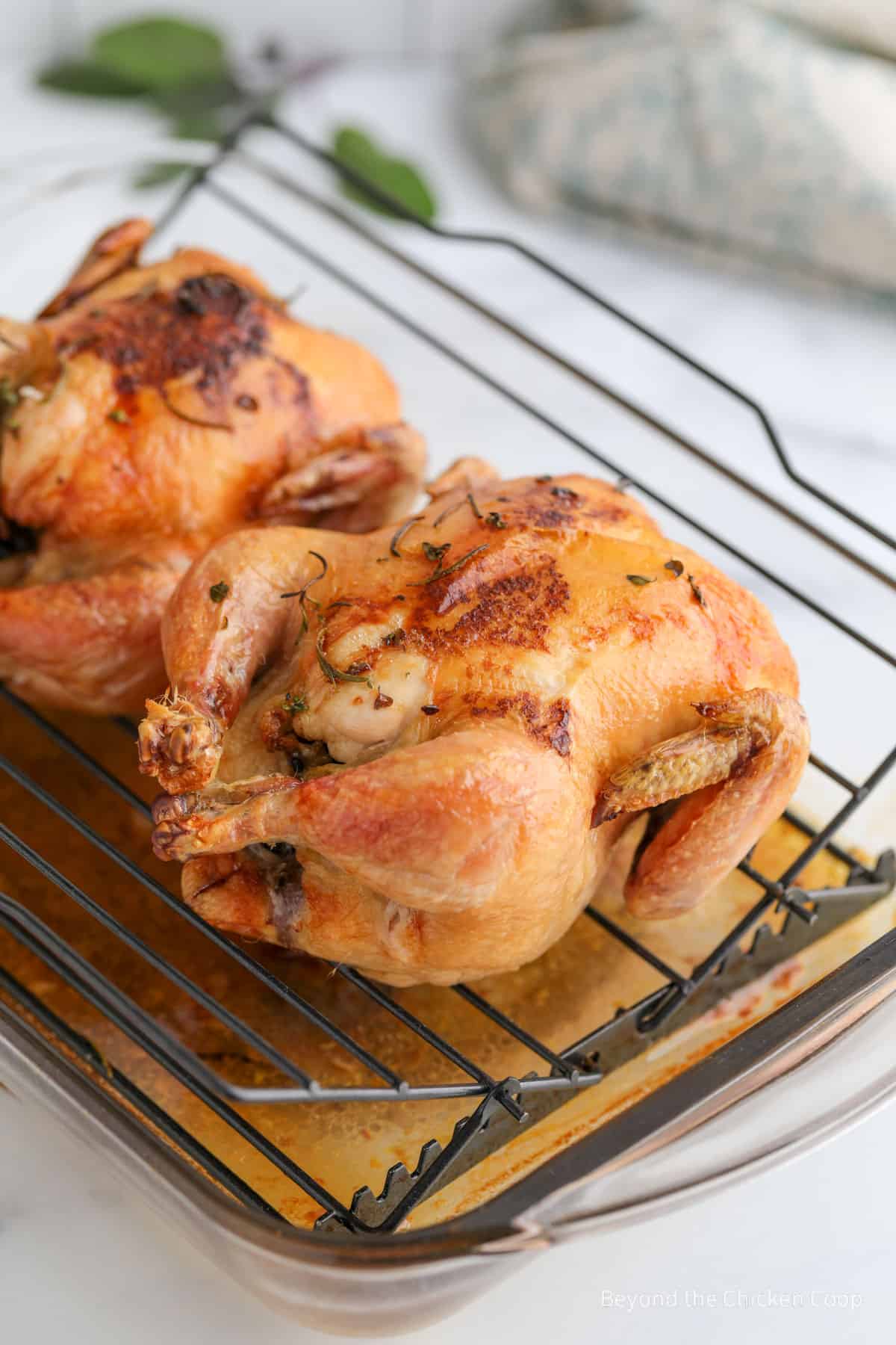 Two baked cornish hens on a baking rack. 