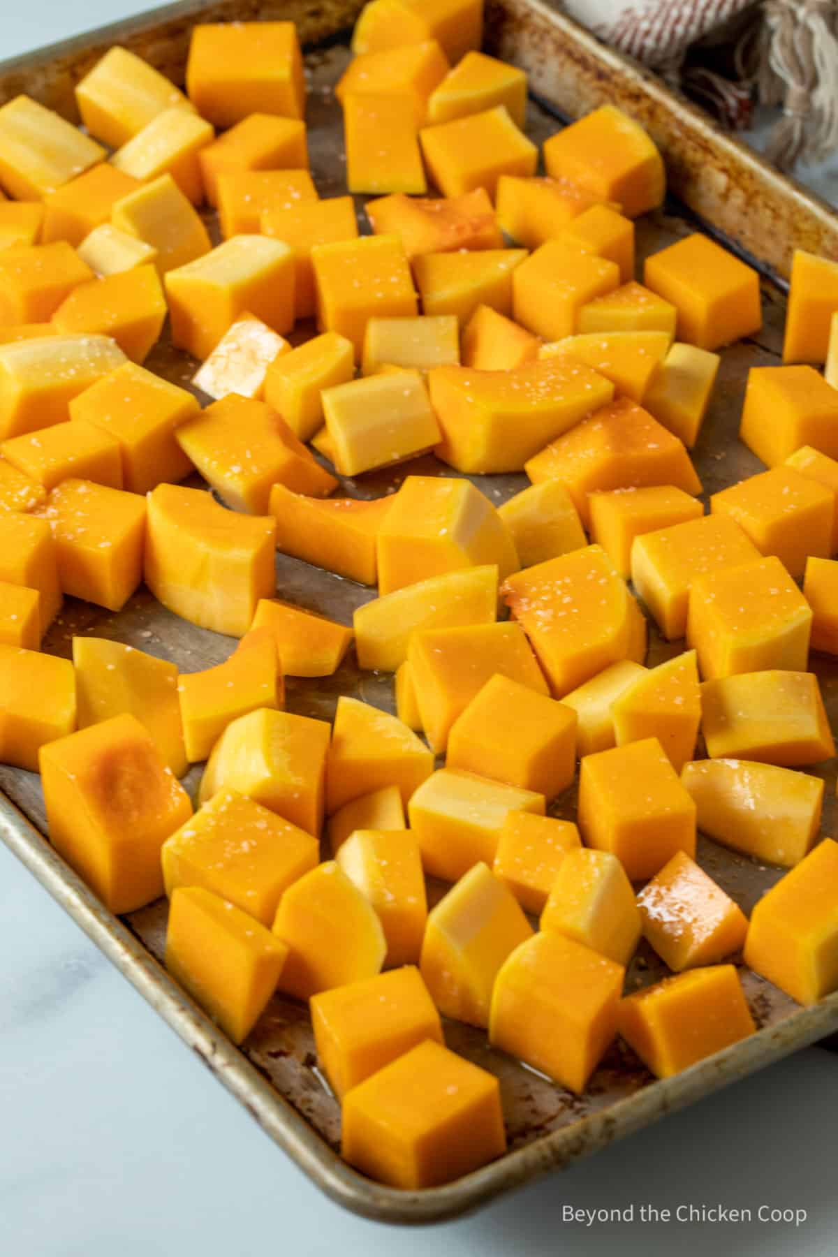 Squash on a baking sheet.