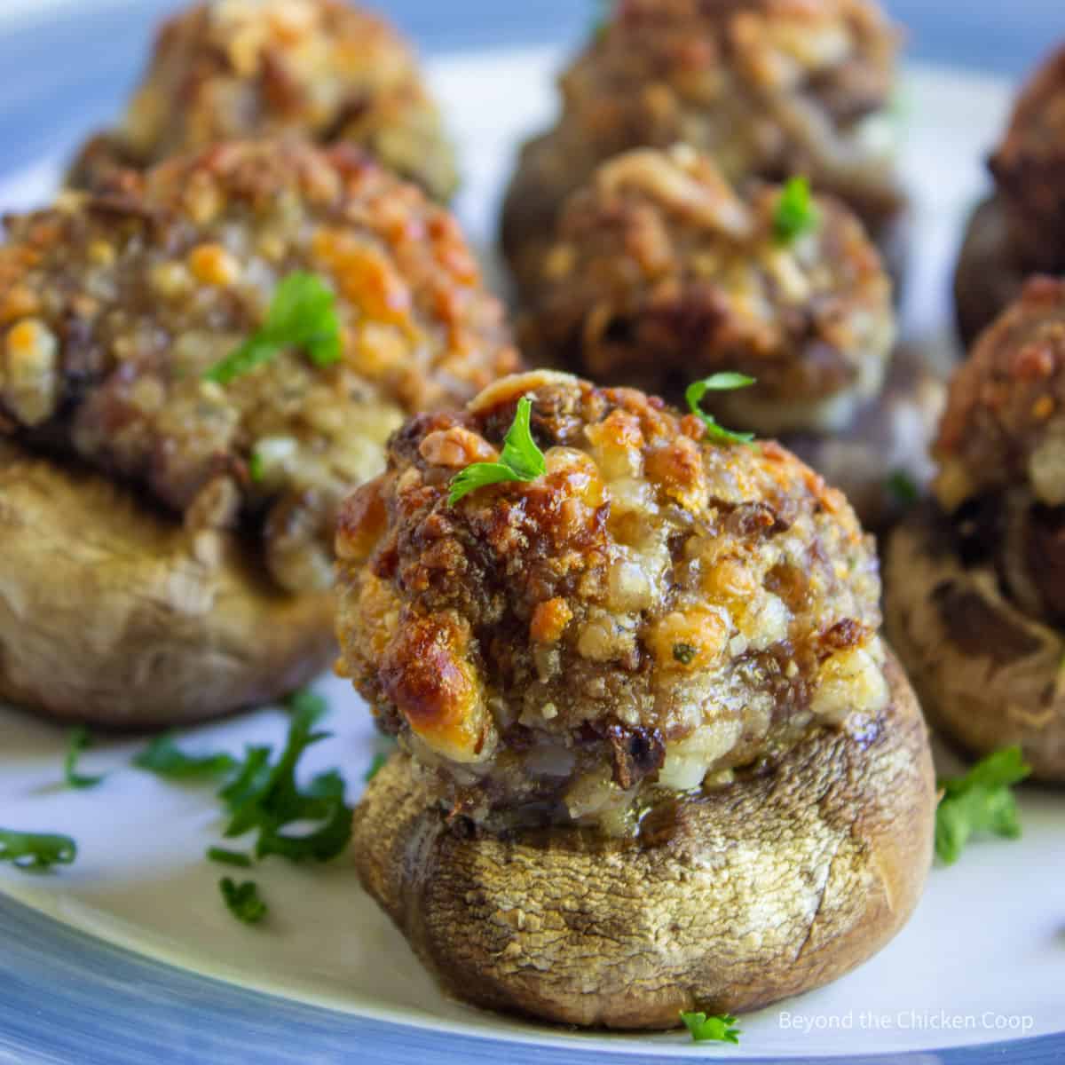 Stuffed mushrooms topped with freshly chopped parsley.